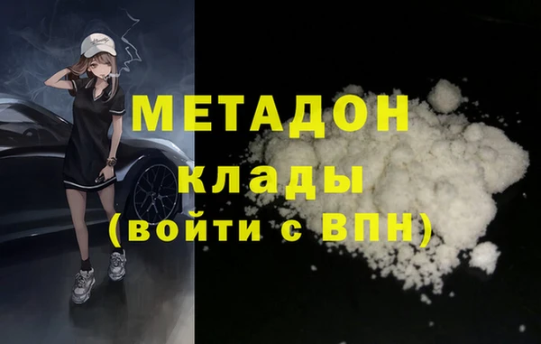 хмурый Тайга