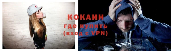 хмурый Тайга