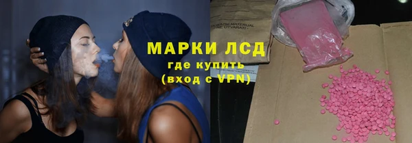 хмурый Тайга