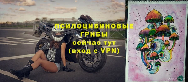 герыч Пересвет