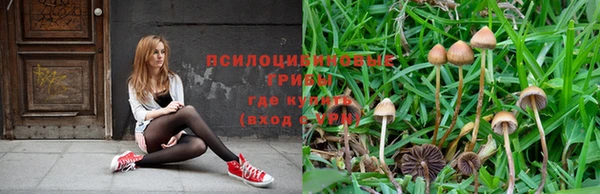 spice Тавда