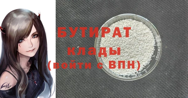 хмурый Тайга