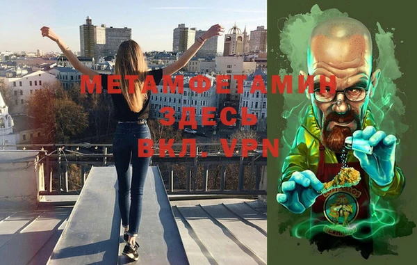 хмурый Тайга