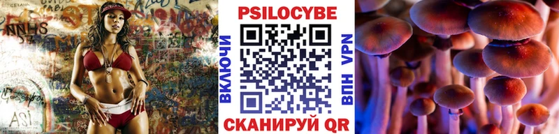 Псилоцибиновые грибы прущие грибы  Меленки 
