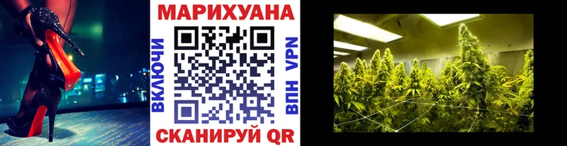 Конопля сатива  Меленки 